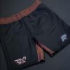 BC x AP Shorts  Photo 3